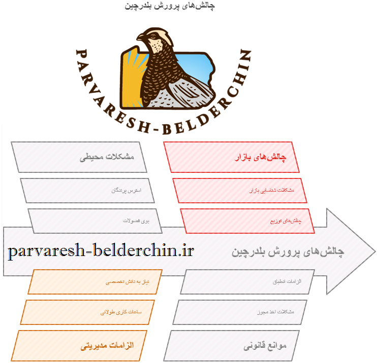 معایب پرورش بلدرچین - بلدرچین پرورش ندهید !!!