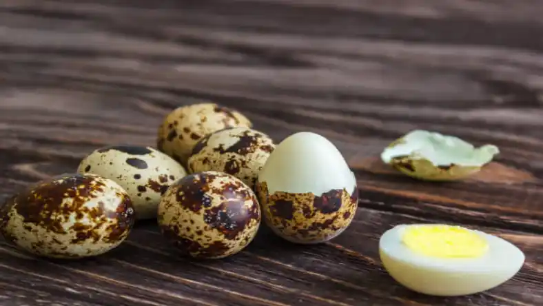 ارزش غذایی تخم بلدرچین