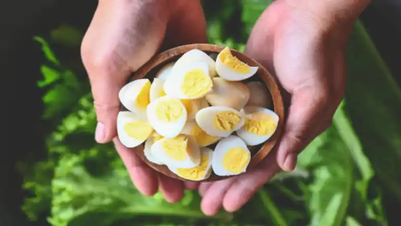خواص تخم بلدرچین برای مردان