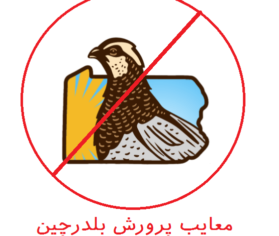 معایب پرورش بلدرچین – بلدرچین پرورش ندهید !!!