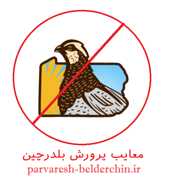 معایب پرورش بلدرچین – بلدرچین پرورش ندهید !!!