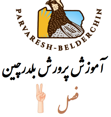 فصل دوم - جوجه کشی- تولید مثل جمع آوری تخم های نطفه دار بلدرچین