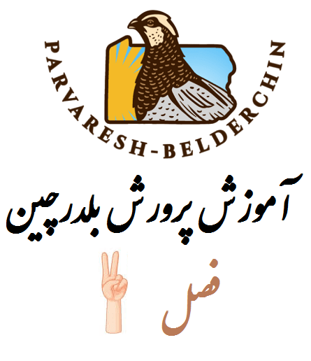 فصل دوم - جوجه کشی- تولید مثل جمع آوری تخم های نطفه دار بلدرچین