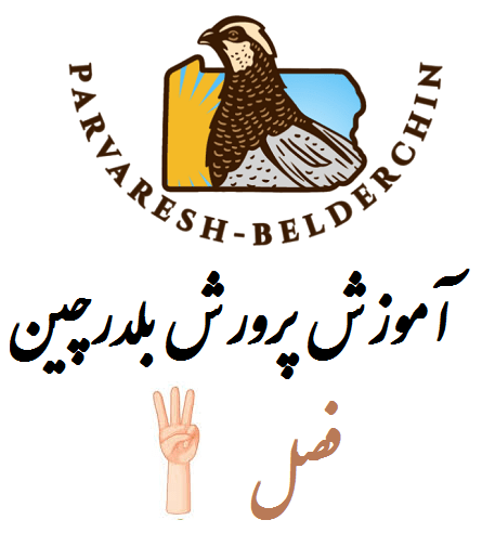 فصل سوم - ساختمان و تاسیسات مزارع پرورش بلدرچین