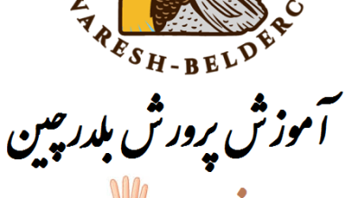 فصل چهارم - اقدامات لازم در زمان جوجه ریزی بلدرچین