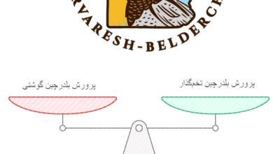 پرورش بلدرچین گوشتی بهتر است یا تخمگذار