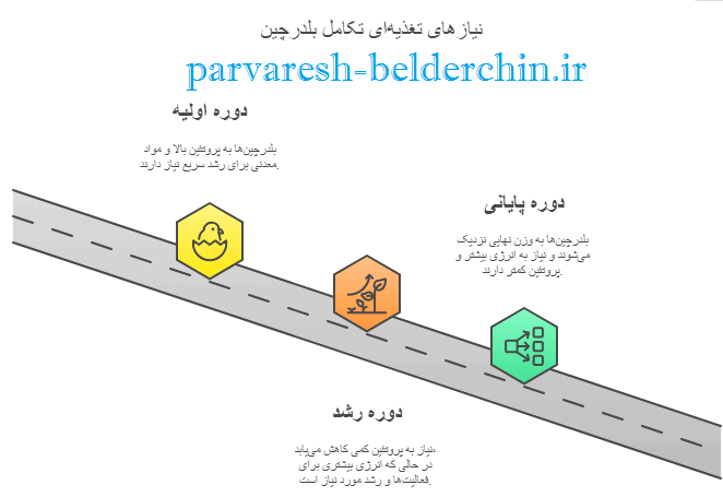 جدول تغذیه بلدرچین تخمگذار و گوشتی