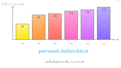 جدول مصرف دان بلدرچین