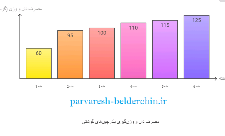 جدول مصرف دان بلدرچین