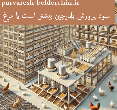 سود پرورش بلدرچین بیشتر است یا مرغ (نگهداری مرغ و بلدرچین در کنار هم)
