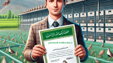 مجوز پرورش بلدرچین