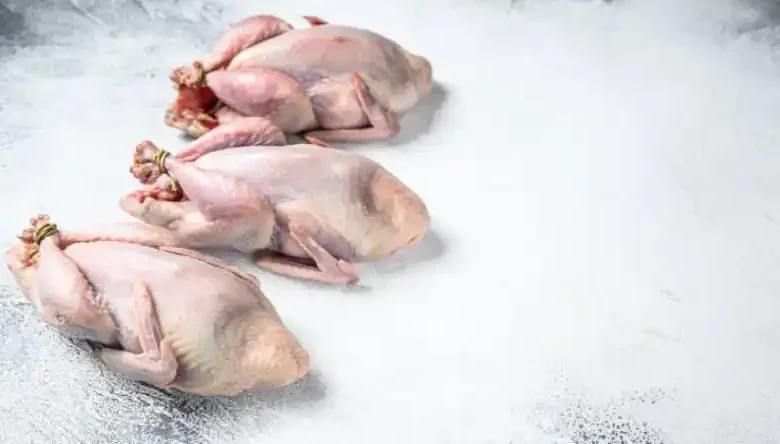 بسته بندی گوشت بلدرچین
