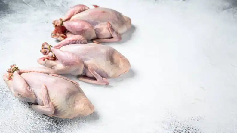 بسته بندی گوشت بلدرچین