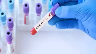 قیمت واکسن نیوکاسل بلدرچین