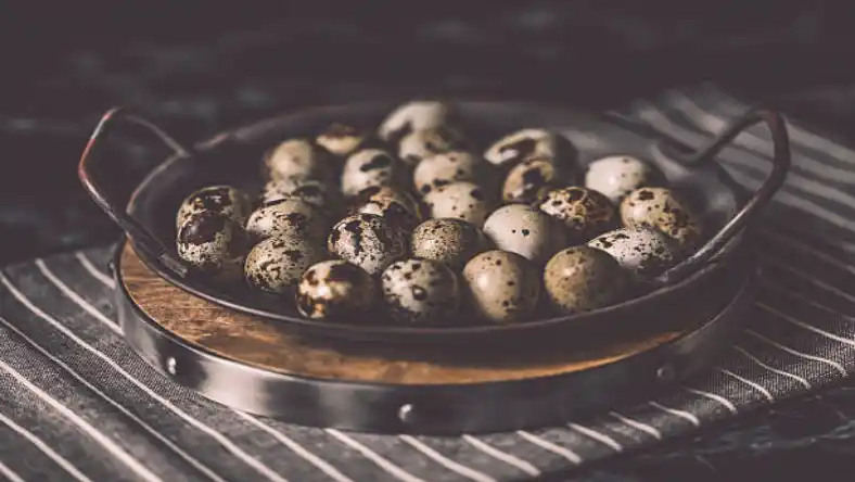 خواص تخم بلدرچین برای قلب