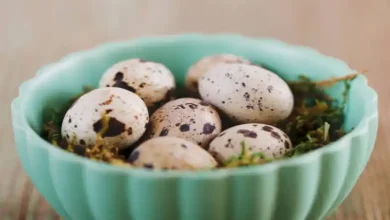 خواص تخم بلدرچین در بارداری