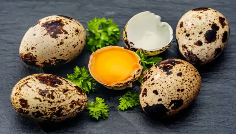 خواص گوشت بلدرچین