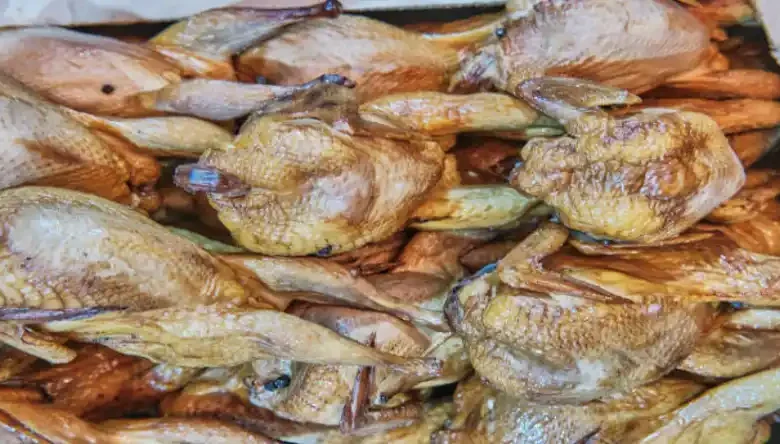 خوراک آغازین بلدرچین