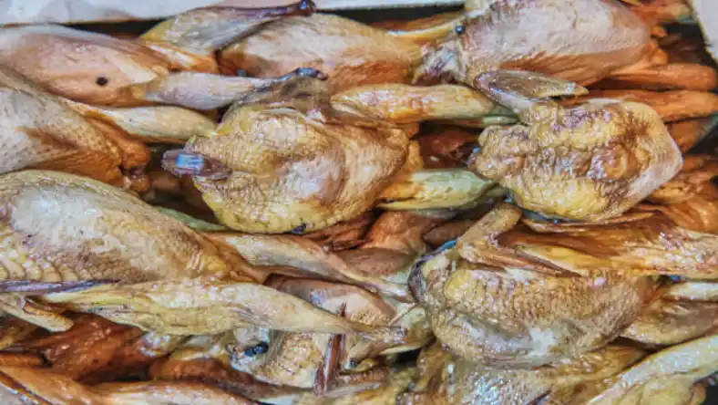 خوراک آغازین بلدرچین