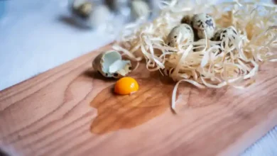 ضریب تبدیل غذایی بلدرچین