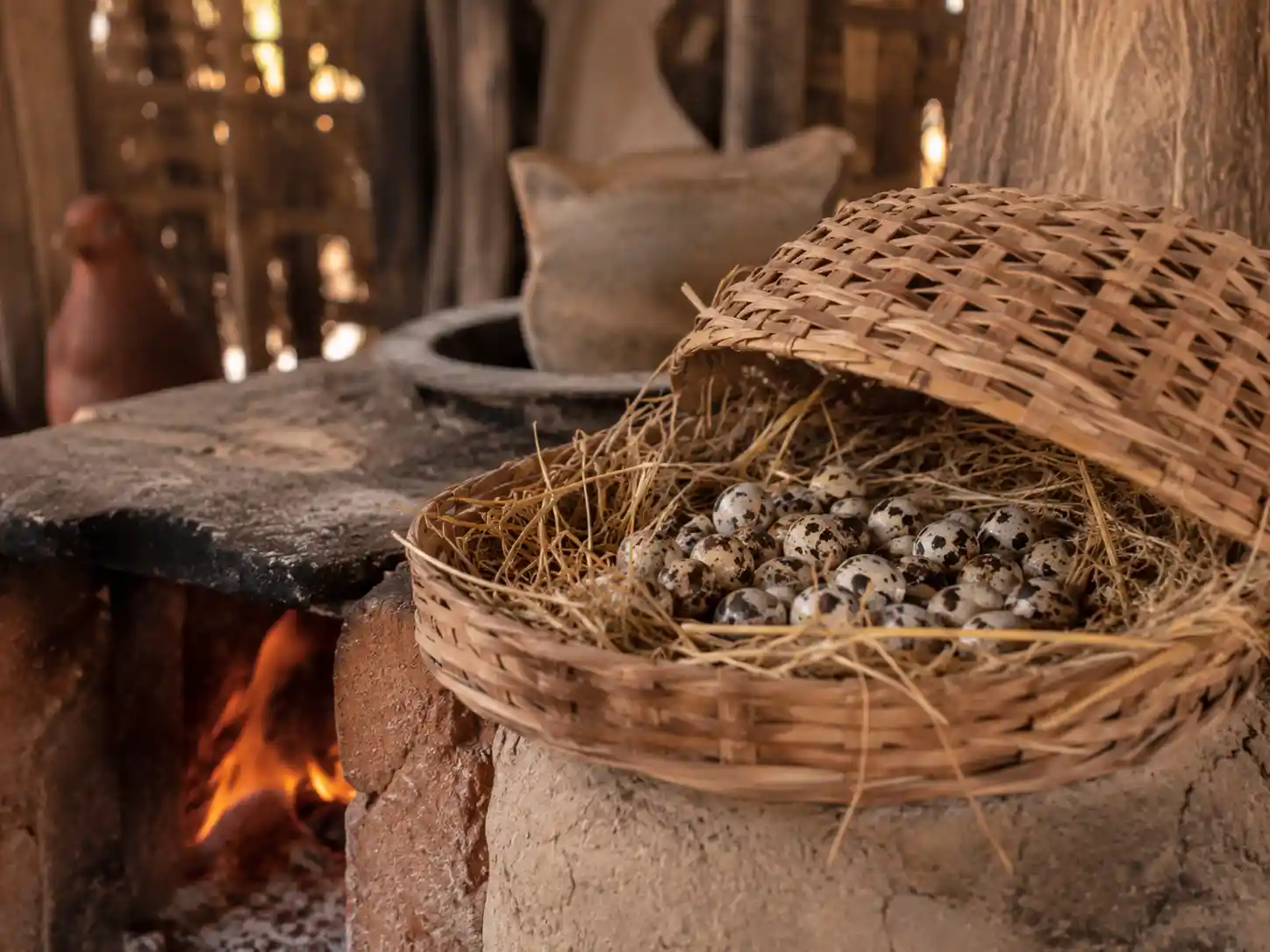 جوجه کشی بلدرچین به روش سنتی