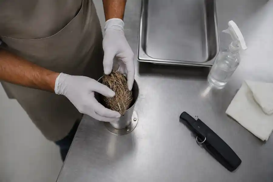 ذبح دستی بلدرچین